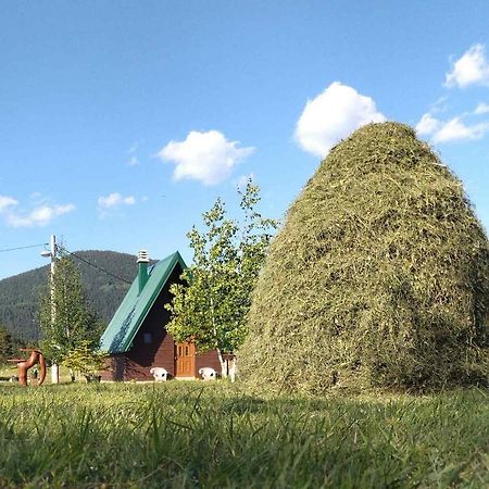 Etno Koliba Nikoleta Villa Zabljak  Exterior photo
